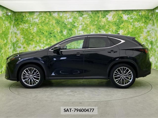 Lexus NX 2023-07 8225144-1