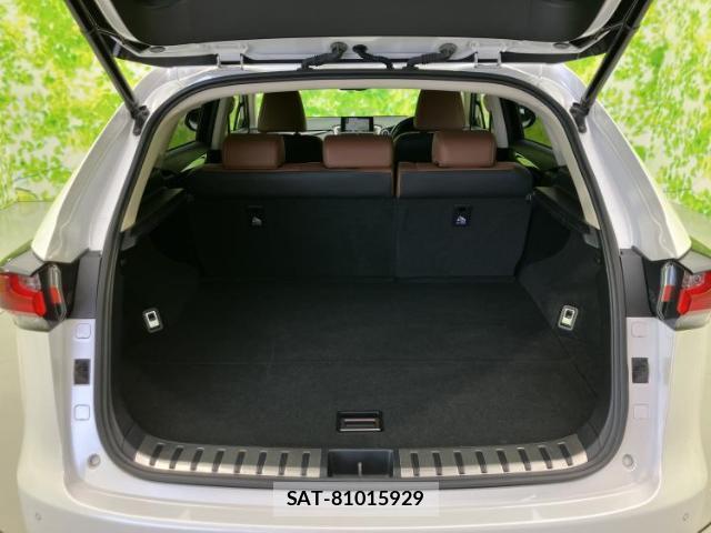 Lexus NX 2015-10 8225203-7