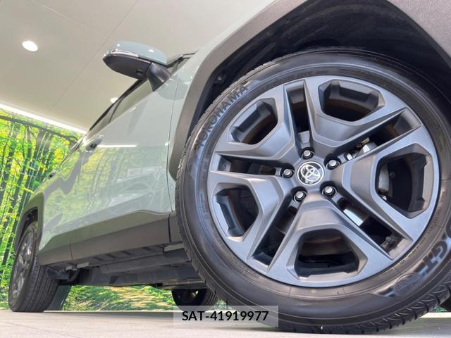 Toyota RAV4 2023-03 8219681-12