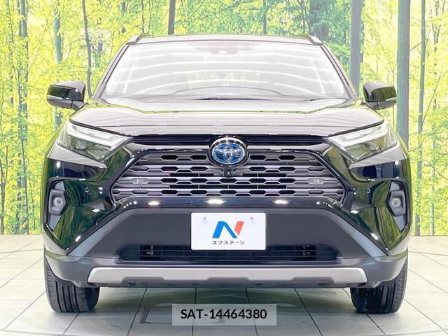 Toyota RAV4 2023-06 8221230-13