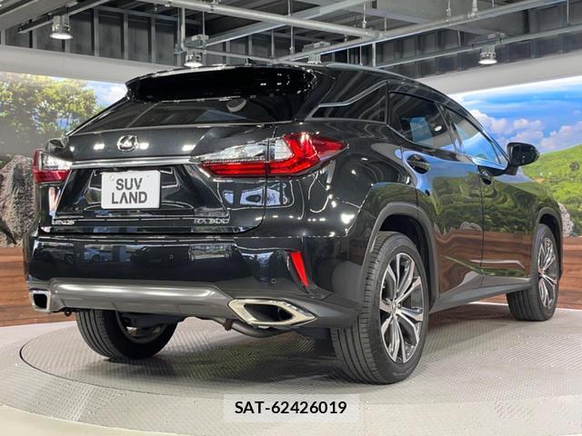 Lexus RX 2018-04 8219185-17