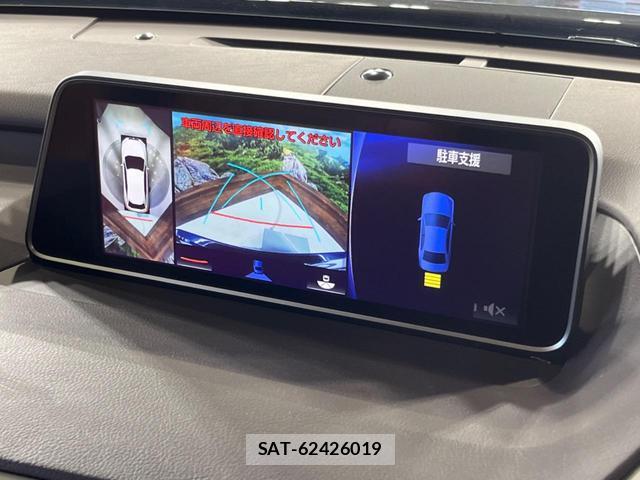 Lexus RX 2018-04 8219185-5