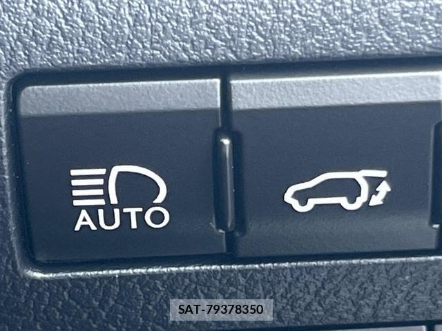 Lexus RX 2016-01 8221097-4