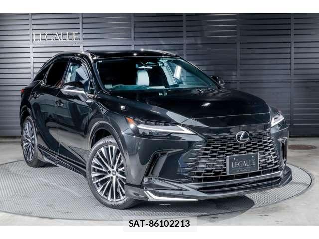 Lexus RX 2025-04 8221502-11