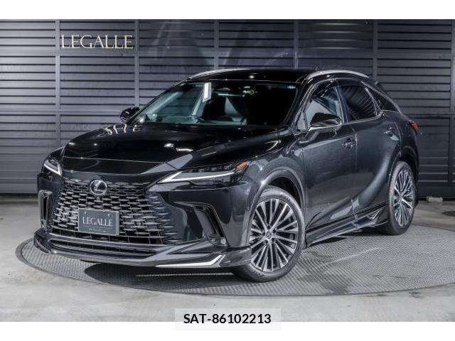 Lexus RX 2025-04 8221502-12