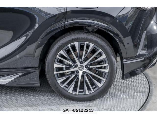 Lexus RX 2025-04 8221502-19