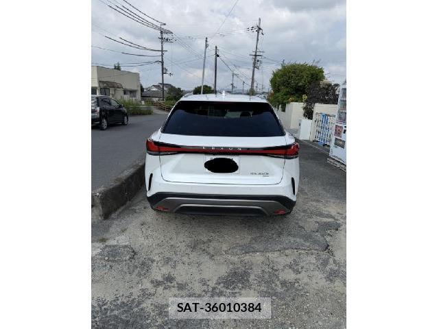 Lexus RX 2023-08 8222059-1