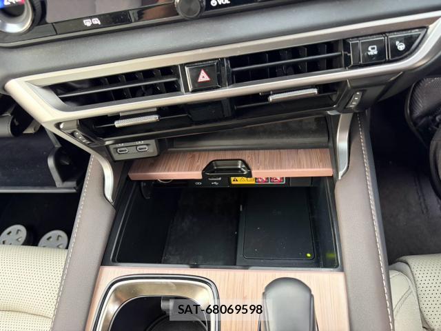 Lexus RX 2024-03 8223753-19