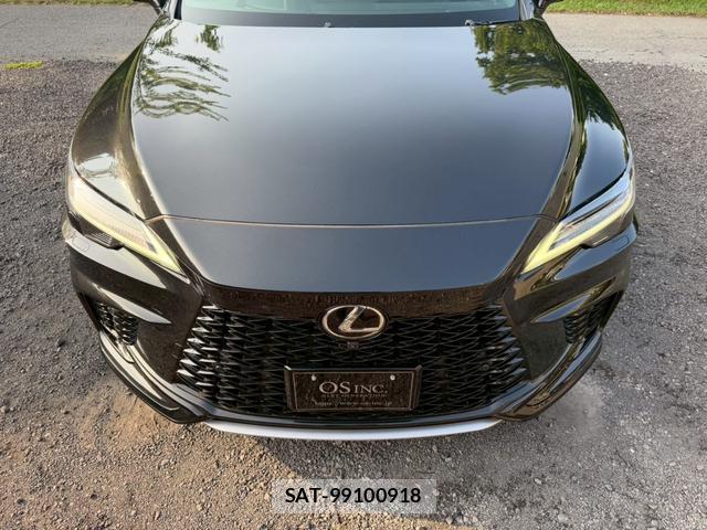 Lexus RX 2023-09 8223807-15