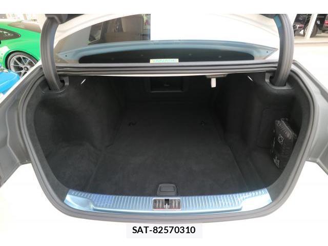 Mercedes Benz S-CLASS 2022-10 8223851-18