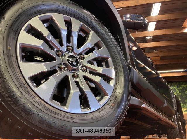 Mitsubishi TRITON 2024-10 8217308-12