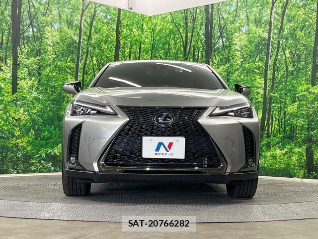 Lexus UX 2021-08 8219091-13