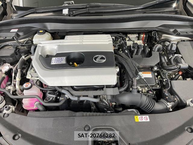 Lexus UX 2021-08 8219091-17