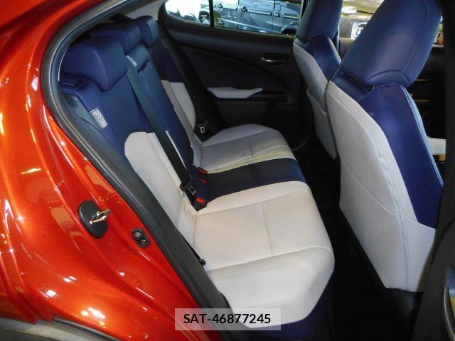 Lexus UX 2022-02 8219661-17