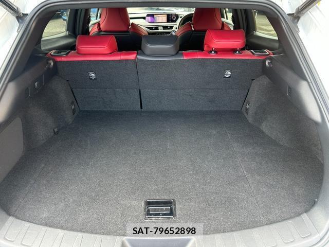 Lexus UX 2019-02 8220576-15