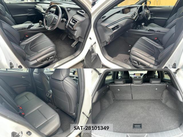 Lexus UX 2019-03 8220579-7