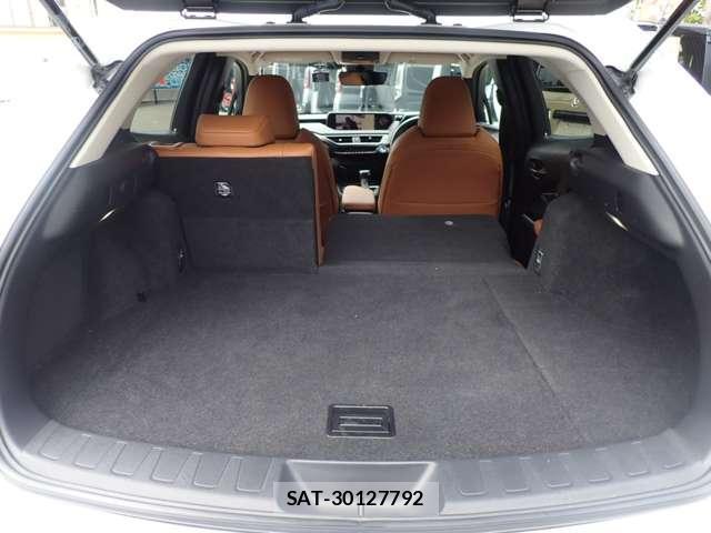 Lexus UX 2021-06 8223840-11