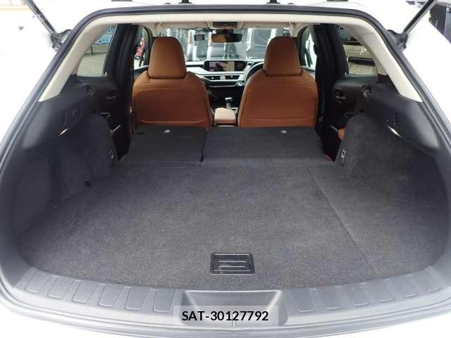 Lexus UX 2021-06 8223840-12