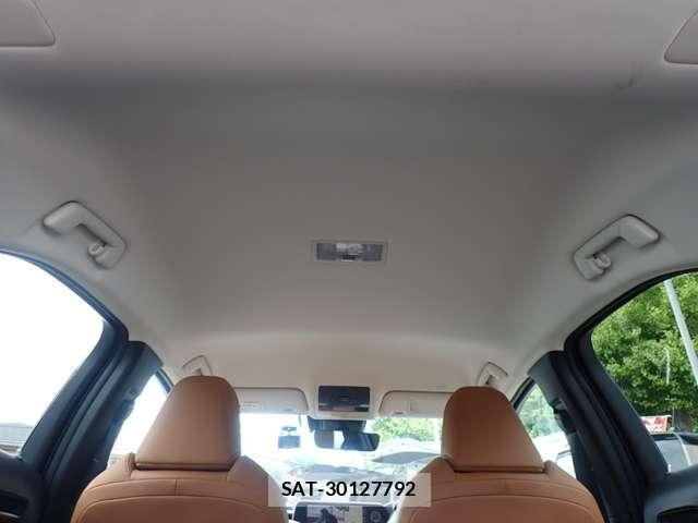 Lexus UX 2021-06 8223840-13