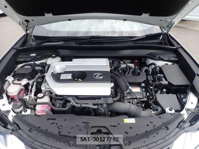 Lexus UX 2021-06 8223840-5