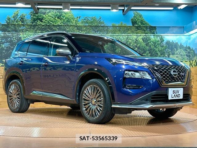 Nissan X-TRAIL 2023-06 8216781-15