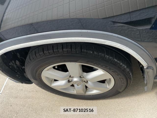 Nissan X-TRAIL 2010-01 8219789-7