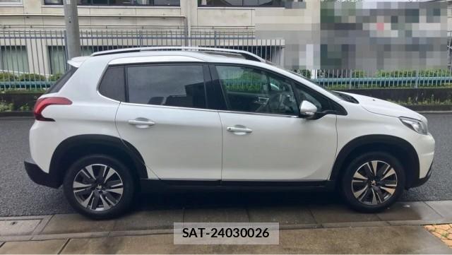 Peugeot 2008 2017-03 8281451-3