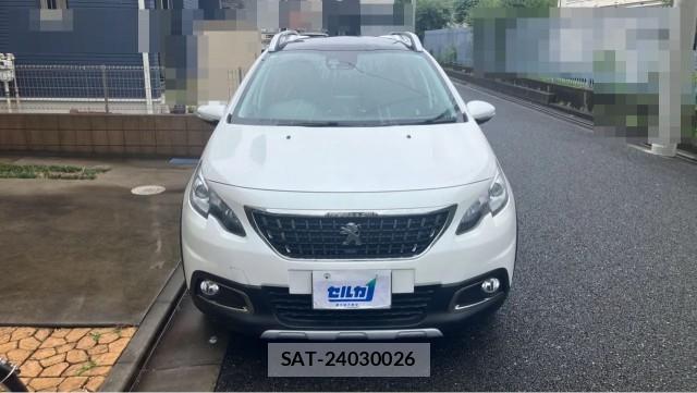 Peugeot 2008 2017-03 8281451-9