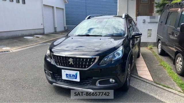 Peugeot 2008 2018-01 8282196-0