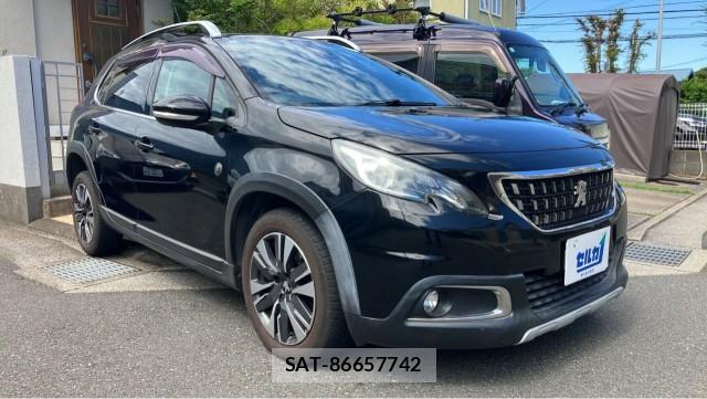 Peugeot 2008 2018-01 8282196-11