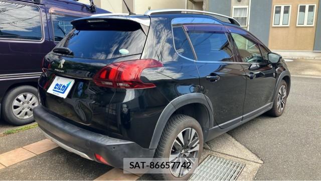 Peugeot 2008 2018-01 8282196-12