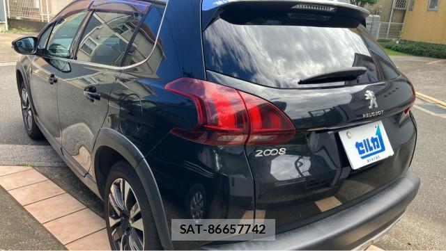 Peugeot 2008 2018-01 8282196-13