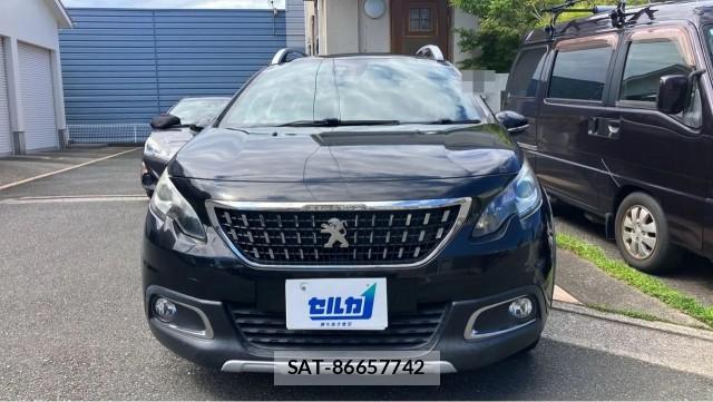 Peugeot 2008 2018-01 8282196-9