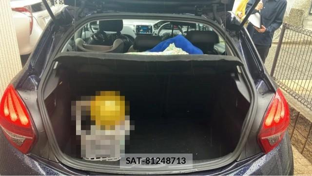 Peugeot 208 2018-03 8280874-17