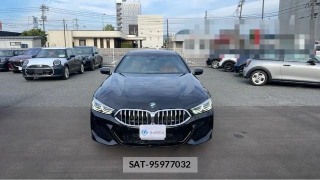 Bmw 8 SERIES 2021-03 8282482-9
