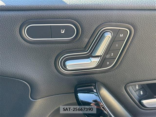 Mercedes Benz A-CLASS 2020-08 8278117-19