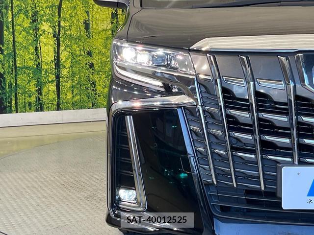 Toyota ALPHARD 2018-11 8280362-12