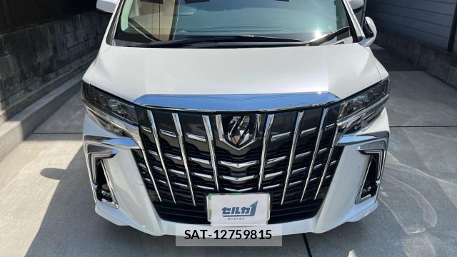 Toyota ALPHARD 2020-05 8280601-9