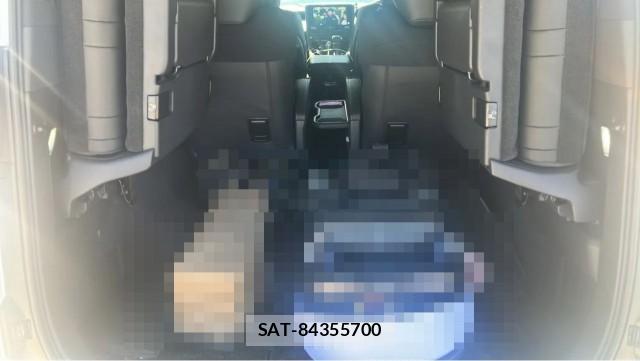 Toyota ALPHARD 2024-07 8280906-17