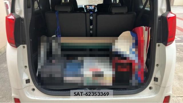 Toyota ALPHARD 2021-06 8281285-17