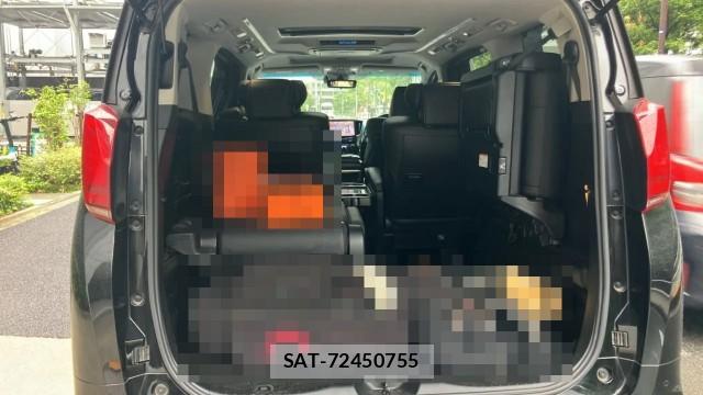 Toyota ALPHARD 2018-06 8281535-17