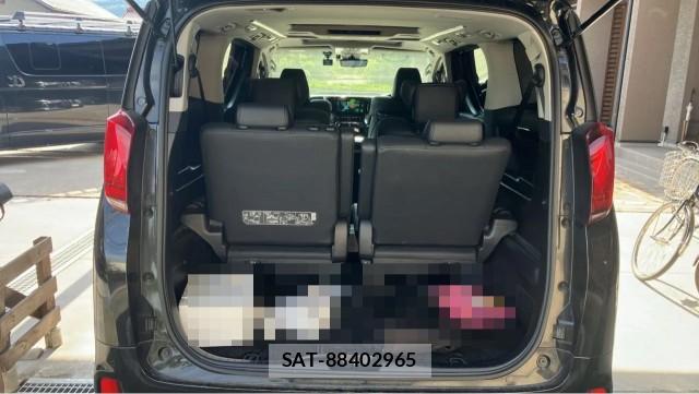 Toyota ALPHARD 2022-06 8282134-17