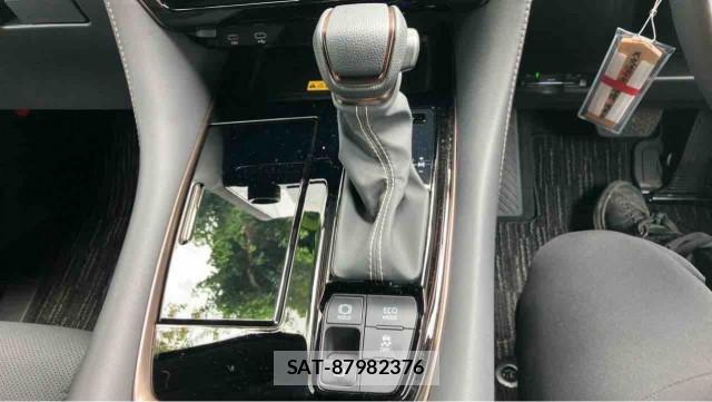 Toyota ALPHARD 2024-10 8282395-14