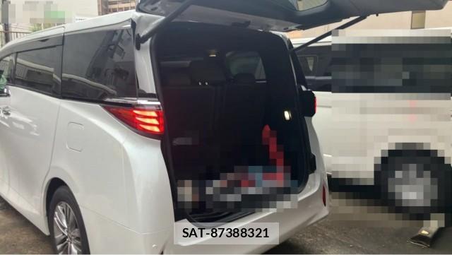 Toyota ALPHARD 2025-08 8282454-17