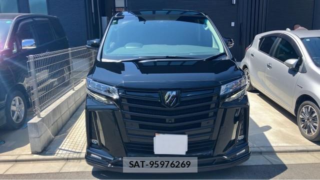 Toyota ALPHARD 2022-06 8282496-9