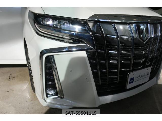 Toyota ALPHARD 2019-01 8284592-13
