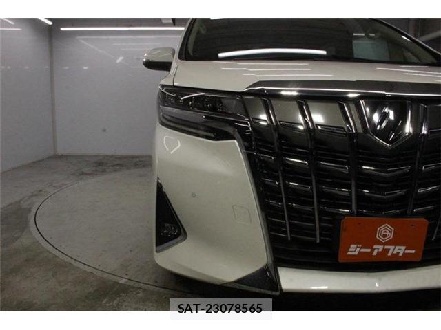 Toyota ALPHARD 2020-08 8285108-11