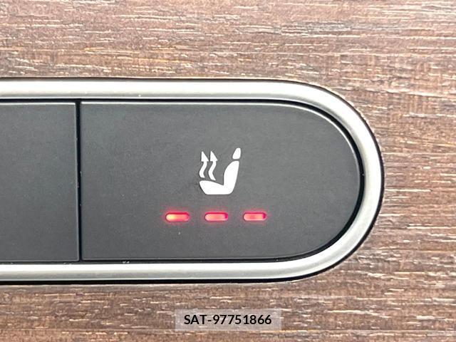 Mercedes Benz B-CLASS 2019-08 8282888-5