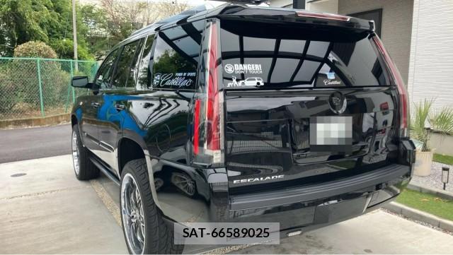 Cadillac ESCALADE 2014-08 8281281-12