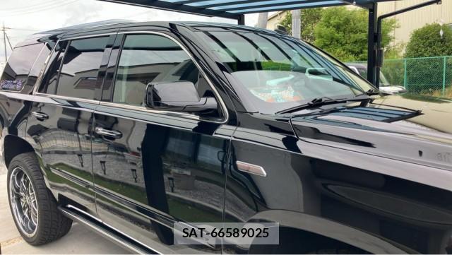 Cadillac ESCALADE 2014-08 8281281-3